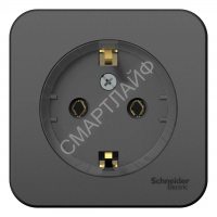 Розетка 1-м ОП Blanca 16А IP20 250В с заземл. без защ. шторок с изолир. пластиной (компакт) антрацит SE BLNRA110116 - smartlife-ural.ru – Екатеринбург