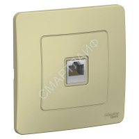 Розетка компьютерная 1-м СП Blanca RJ45 кат.5E беж. SE BLNIS045007 - smartlife-ural.ru – Екатеринбург