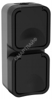 Розетка 2-м ОП TORS 16А IP55 TS132 вертик. с заземл. с крышкой графит IEK TS-R26-16-55-V-K53 - smartlife-ural.ru – Екатеринбург