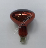 Лампа-термоизлучатель ИКЗК 230-100Вт R95 (30) КЭЛЗ 8105043 - smartlife-ural.ru – Екатеринбург