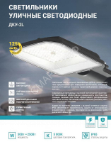 Светильник уличный линзованный светодиодный ДКУ-2L 70Вт 230В 5000К 8750лм 125лм/Вт 42-48мм IP65 NEOX 4690612057088 - smartlife-ural.ru – Екатеринбург