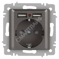 Розетка Accent 6-410-09 P+E Schuko со шторками 16А-250В + 2хUSB IP20 СУ титан Intro Б0063711 - smartlife-ural.ru – Екатеринбург