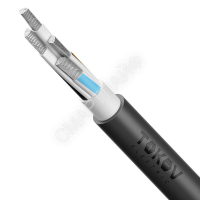 Кабель TOKOV ELECTRIC АВВГнг(А)-LS 4х70 МС (N) 1кВ (м) УТ000030792 - smartlife-ural.ru – Екатеринбург