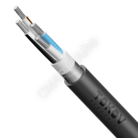Кабель TOKOV ELECTRIC АВБШв 4х25 МК (N) 0.66кВ (м) 00-00072446 - smartlife-ural.ru – Екатеринбург