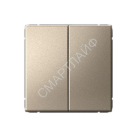 Переключатель 2-кл. ArtGallery 10AX быстрозажим. клем. механизм шампань SE GAL000565S - smartlife-ural.ru – Екатеринбург