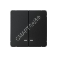 Выключатель 2-кл. ArtGallery (сх. 5а) 10AX с подсветкой быстрозажим. клем. механизм карбон SE GAL001053S - smartlife-ural.ru – Екатеринбург