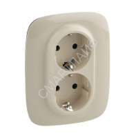 Розетка 2-м СП Valena Allure 16А IP20 250В 2х2P+E защ. шторки безвинт. клеммы с лицев. панелью сл. кость Leg 753826 - smartlife-ural.ru – Екатеринбург