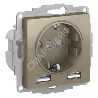 Розетка 1-м СП AtlasDesign 16А IP20 с 2-мя заряд. устройствами USB тип A+A 5В/2.4А 2х5В/1.2А механизм шампань SE ATN000530 - smartlife-ural.ru – Екатеринбург