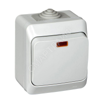 Выключатель 1-кл. ОП Этюд 10А IP44 10AX с подсветкой сер. SE BA10-045C - smartlife-ural.ru – Екатеринбург