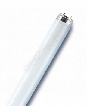 Лампа люминесцентная L 30W/765 30Вт T8 6500К G13 OSRAM 4008321959706 - smartlife-ural.ru – Екатеринбург