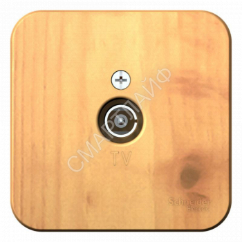 Розетка телевизионная TV ОП Blanca коннектор с изолир. пластиной ясень SE BLNTA000015 - smartlife-ural.ru – Екатеринбург