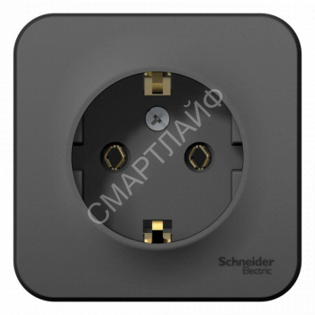 Розетка 1-м ОП Blanca 16А IP20 250В с заземл. без защ. шторок с изолир. пластиной антрацит SE BLNRA010116 - smartlife-ural.ru – Екатеринбург