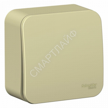 Переключатель проходной 1-кл. ОП Blanca 10А IP20 (сх. 6) 250В с изолир. пластиной беж. SE BLNVA106017 - smartlife-ural.ru – Екатеринбург