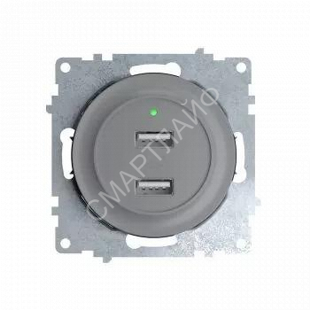 Розетка USB 2-м СП Florence 16А IP20 с подсветкой механизм сер. (1E10351302) OneKeyElectro 2260091 - smartlife-ural.ru – Екатеринбург