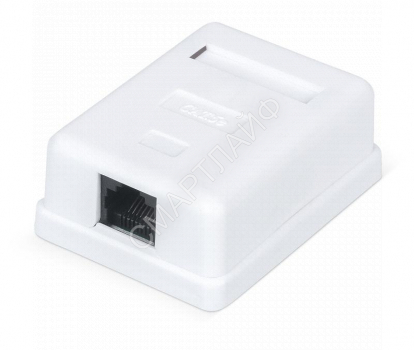 Розетка компьютерная 1-м ОП WR-WS-8P8C-C5E-1 RJ45 кат.5E неэкранир. Dual IDC бел. WRline 505215 - smartlife-ural.ru – Екатеринбург