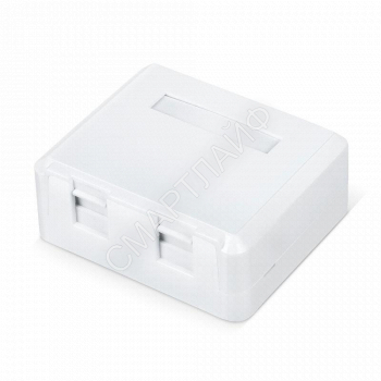 Корпус настенной розетки WR-MB-2 для установки 2-х вставок типа Keystone Jack бел. WRline 505220 - smartlife-ural.ru – Екатеринбург