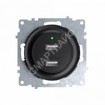 Розетка USB 2-м СП Florence 16А IP20 с подсветкой механизм черн. (1E10351303) OneKeyElectro 2260092 - smartlife-ural.ru – Екатеринбург