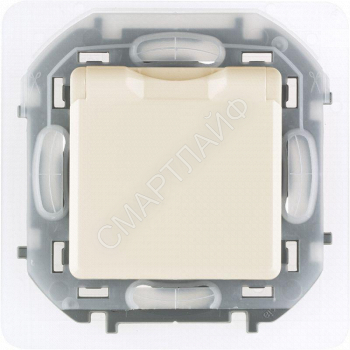 Розетка 1-м СП Inspiria 16А IP44 250В 2P+E защ. шторки с крышкой немецк. стандарт механизм сл. кость Leg 673741 - smartlife-ural.ru – Екатеринбург