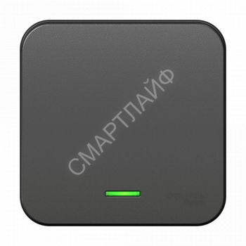 Выключатель 1-кл. ОП Blanca 10А IP20 (сх. 1) 250В с подсветкой с изолир. пластиной антрацит SE BLNVA101116 - smartlife-ural.ru – Екатеринбург
