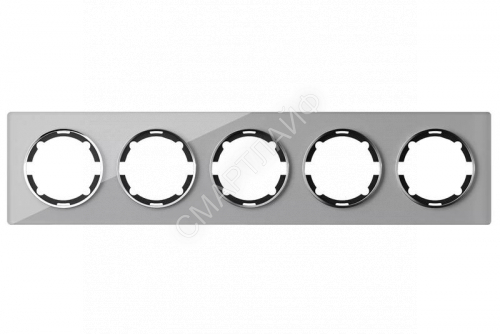 Рамка 5-м Garda горизонт. стеклянная сер. 2E52501302 OneKeyElectro 2234938 - smartlife-ural.ru – Екатеринбург