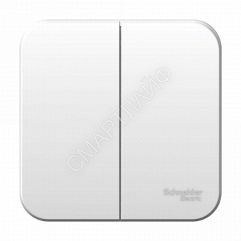 Выключатель 2-кл. ОП Blanca 6А IP20 (сх. 5) 250В бел. SE BLNVA065001 - smartlife-ural.ru – Екатеринбург