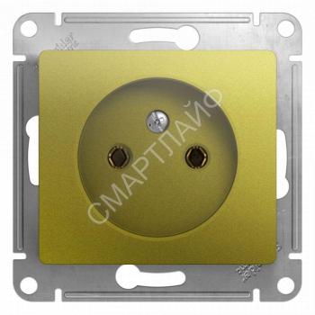 Розетка 1-м СП Glossa 16А IP20 250В без заземл. механизм фисташк. SE GSL001041 - smartlife-ural.ru – Екатеринбург