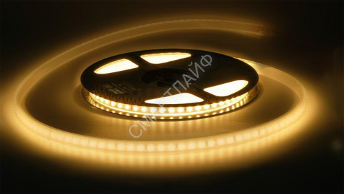 Лента светодиодная PLS PRO 2835/168-24В 4000К IP65 (уп.5м) Pro JazzWay 5037540 - smartlife-ural.ru – Екатеринбург