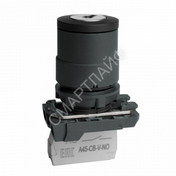 Переключатель OptiSignal D22 C5-SK-21 с ключем 2 поз пластик 1НО XB5AG21 КЭАЗ 332184 - smartlife-ural.ru – Екатеринбург
