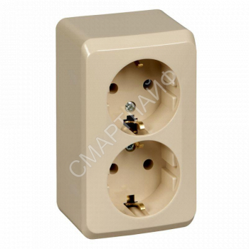 Розетка 2-м ОП Этюд 16А IP20 250В с заземл. без защ. шторок крем. SE PA16-007K - smartlife-ural.ru – Екатеринбург