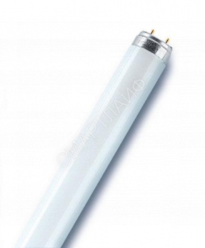 Лампа люминесцентная L 36W/830 LUMILUX 36Вт T8 3000К G13 смол. OSRAM 4058075692954 - smartlife-ural.ru – Екатеринбург