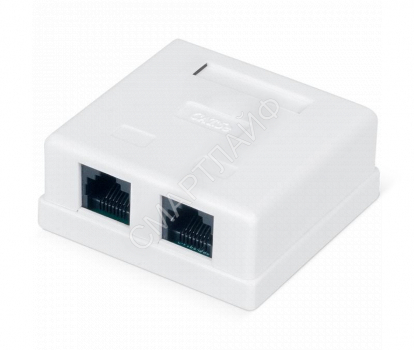 Розетка компьютерная 2-м ОП WR-WS-8P8C-C5E-2 RJ45 кат.5E неэкранир. Dual IDC бел. WRline 505216 - smartlife-ural.ru – Екатеринбург