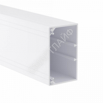 Кабель-канал 100х60 L2000 пластик TA-GN DKC 01786 - smartlife-ural.ru – Екатеринбург