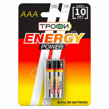 Элемент питания алкалиновый AAA/LR03 LR03-2BL (блист.2шт) Трофи C0034929 - smartlife-ural.ru – Екатеринбург