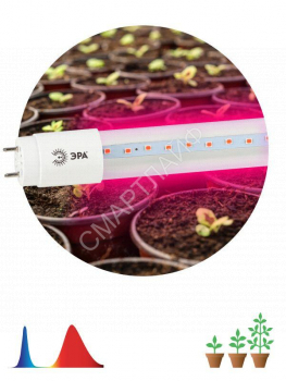 Лампа светодиодная FITO-18W-RB-Т8-G13-NL 18Вт T8 линейная 96LED 2835 IP20 35000ч для растений красн./син. спектр стекло Эра Б0042990 - smartlife-ural.ru – Екатеринбург