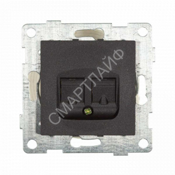 Розетка компьютерная 1-м СП Bravo RJ45 механизм графит GUSI С10К1-010 - smartlife-ural.ru – Екатеринбург