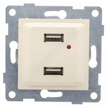 Розетка USB 2-м СП Ugra механизм беж. GUSI С11USB2-003 - smartlife-ural.ru – Екатеринбург