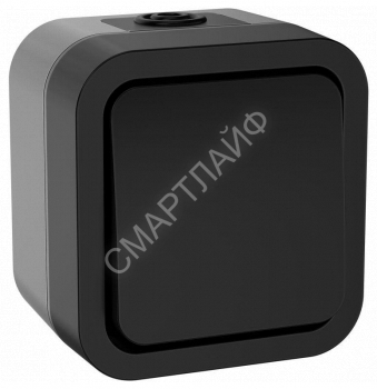 Выключатель кнопочный 1-кл. ОП TORS TS110 10А IP55 графит IEK TS-V14-0-10-55-K53 - smartlife-ural.ru – Екатеринбург