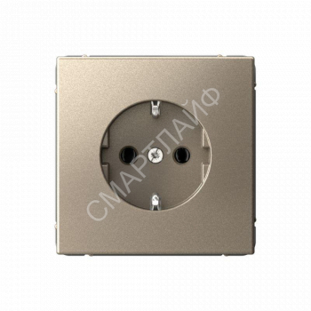 Розетка ArtGallery 16А с заземл. механизм шампань SE GAL000543 - smartlife-ural.ru – Екатеринбург