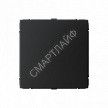 Заглушка ArtGallery с суппортом для многопост. рамок карбон SE GAL001009 - smartlife-ural.ru – Екатеринбург