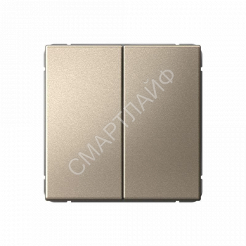 Переключатель 2-кл. ArtGallery (сх. 6/2) 10AX механизм шампань SE GAL000565 - smartlife-ural.ru – Екатеринбург