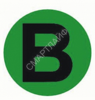 Наклейка "B" d20мм PROxima EKF an-2-9-1 - smartlife-ural.ru – Екатеринбург
