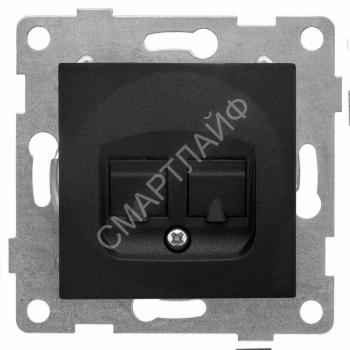 Розетка компьютерная + телефонная 2-м СП Bravo RJ45 + RJ12 механизм графит GUSI С10КТ-010 - smartlife-ural.ru – Екатеринбург