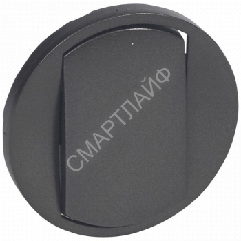 Накладка выкл. 1-кл. Celiane графит Leg 067901 - smartlife-ural.ru – Екатеринбург