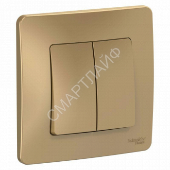 Переключатель проходной 2-кл. СП Blanca 10А IP20 (сх. 6+6) 250В титан SE BLNVS106604 - smartlife-ural.ru – Екатеринбург