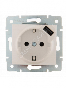 Розетка 1-м СП Karina 16А с заземл. с заряд. устройством USB механизм жемчуж./бел. перламутр. LEZARD 707-3088-181 - smartlife-ural.ru – Екатеринбург