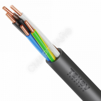 Кабель TOKOV ELECTRIC ВВГнг(А)-LS 5х4 ОК (N PE) 0.66кВ (м) УТ000028409 - smartlife-ural.ru – Екатеринбург
