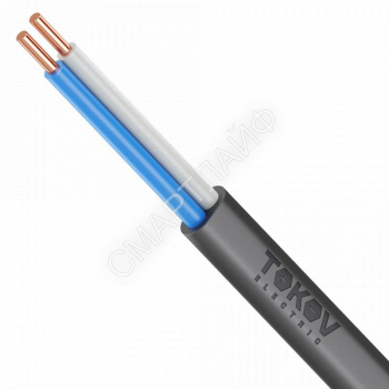 Кабель TOKOV ELECTRIC ВВГ-Пнг(А)-LS 2х6 ОК (N) 0.66кВ (м) УТ000028388 - smartlife-ural.ru – Екатеринбург